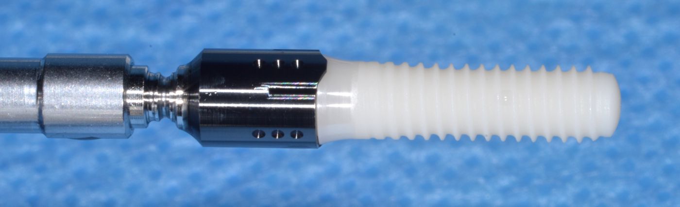 pandolfi_10_pure
