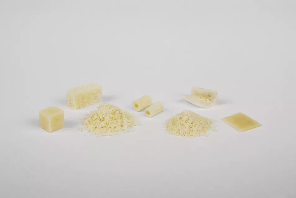 fig. 5: Allografts for dental application (maxgraft®, botiss biomaterials GmbH)