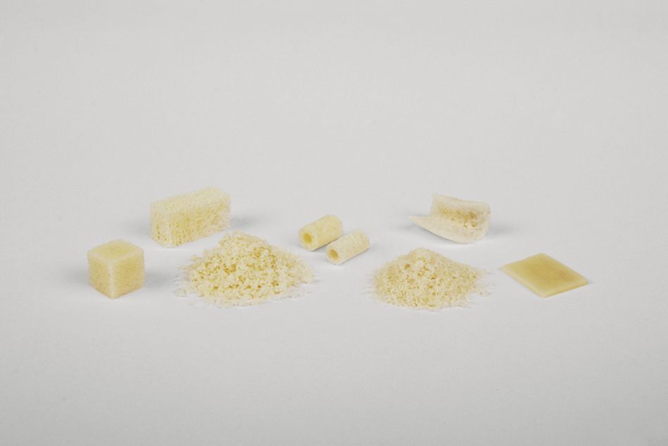 fig. 5: Allografts for dental application (maxgraft®, botiss biomaterials GmbH)
