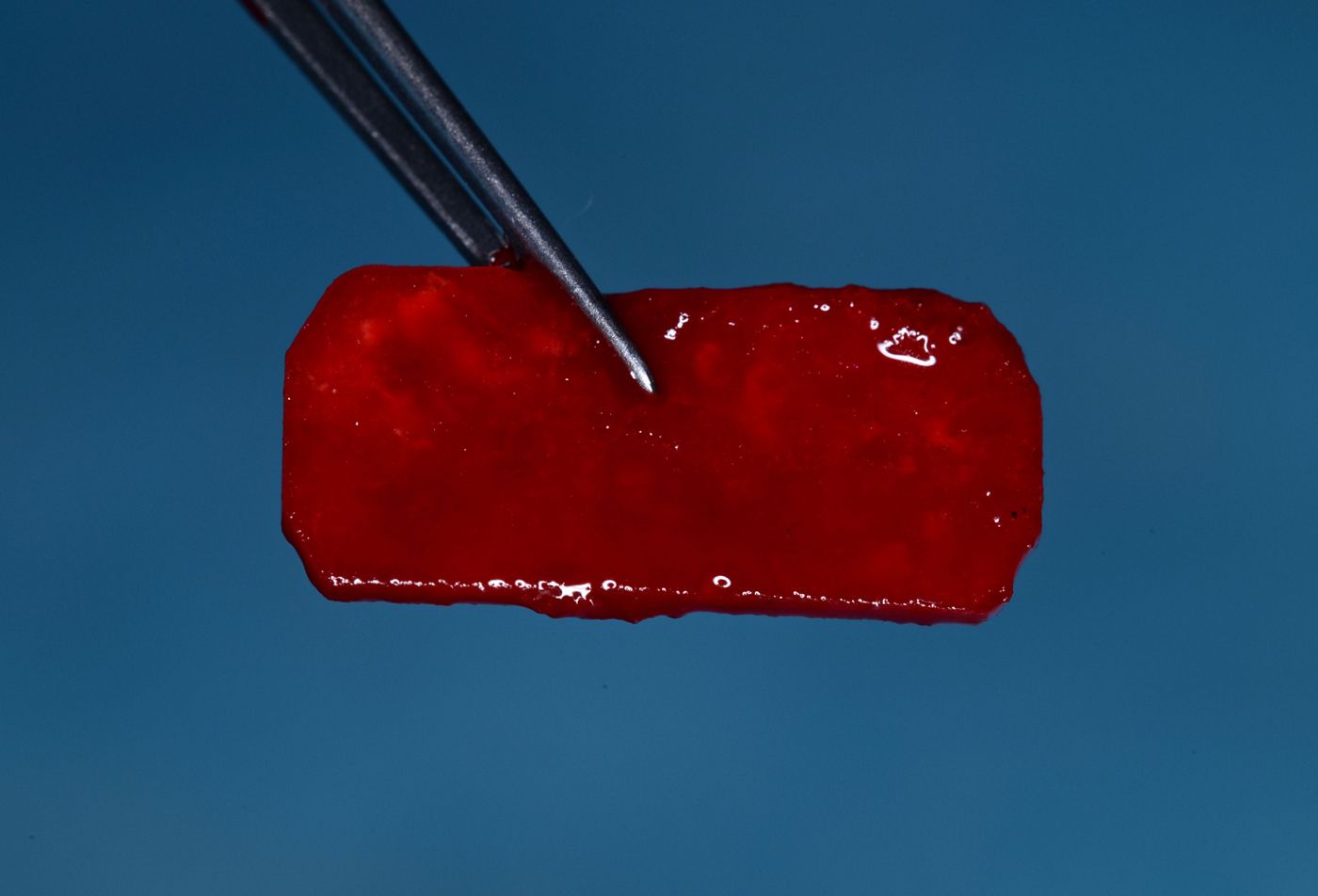 Fig 6. D