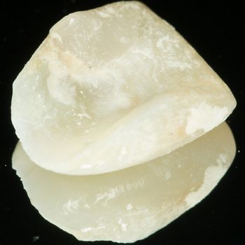 fig. 17