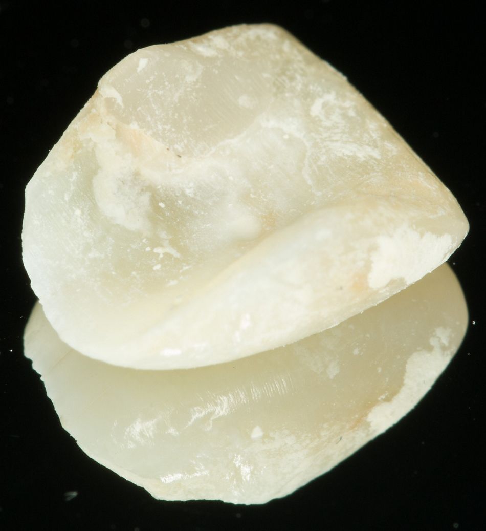 fig. 17