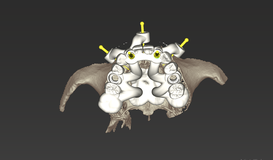 fig. 13