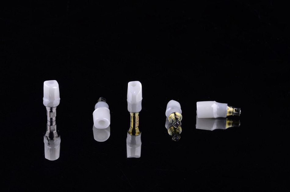 Figure 26. Polished maxillary telescopic zirconia crowns cemented on Variobase abutments. 